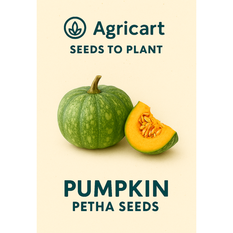 Pumpkin Seeds