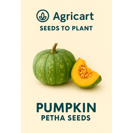 Pumpkin Seeds
