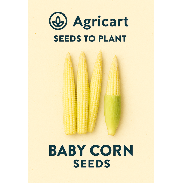 Baby Corn