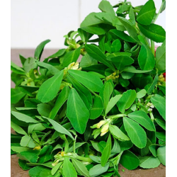 Methi(Fenugreek) Seeds 2