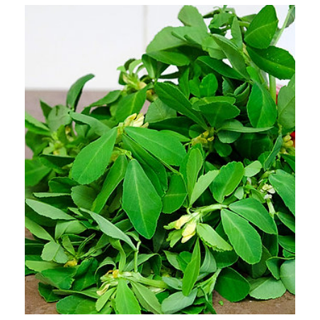 Methi(Fenugreek) Seeds