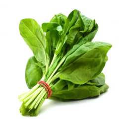 Spinach 2