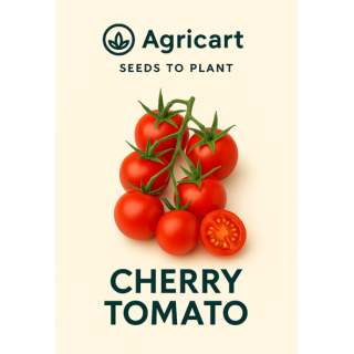 Tomato Cherry Seeds