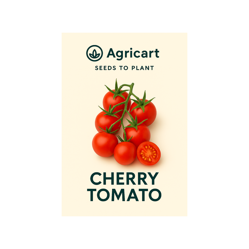 Tomato Cherry Seeds
