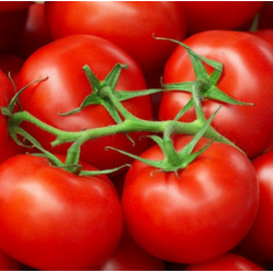 Tomato Round Seeds 2