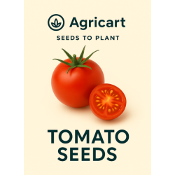 Tomato Round Seeds