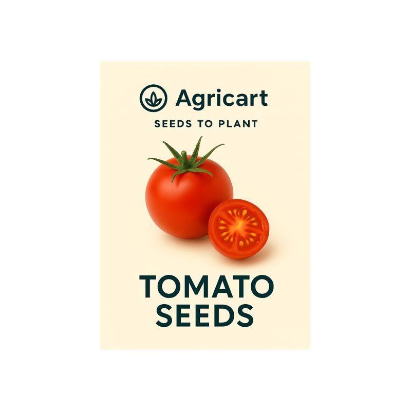 Tomato Round Seeds