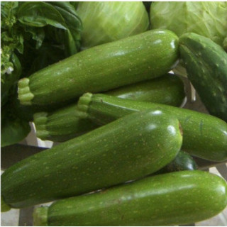 Buy Zucchini Seeds Online – Easy to Grow | Agricart