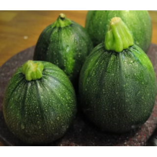 Green Round Zucchini Seeds – High Yield | Agricart