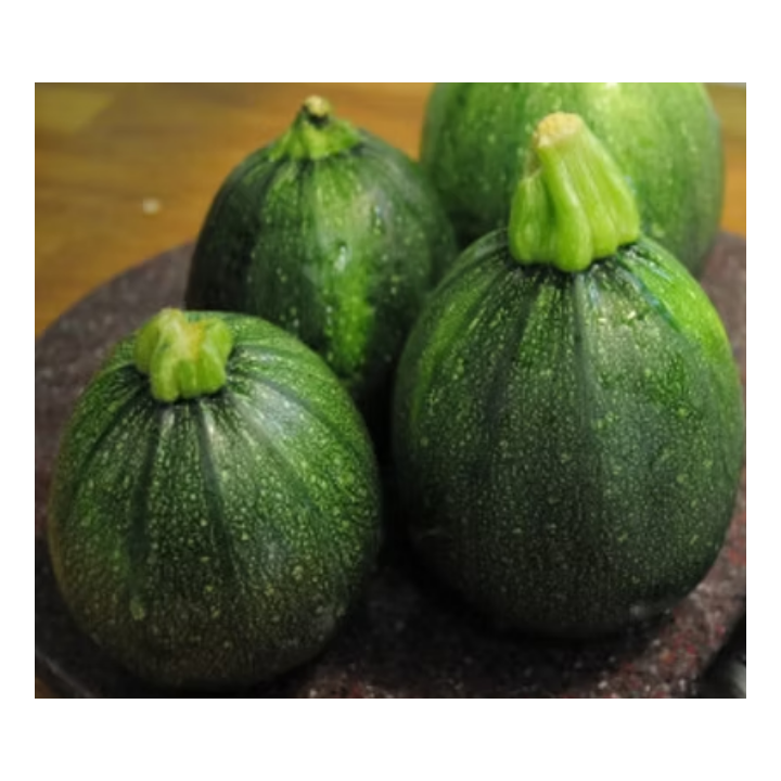 Green Round Zucchini Seeds – High Yield | Agricart