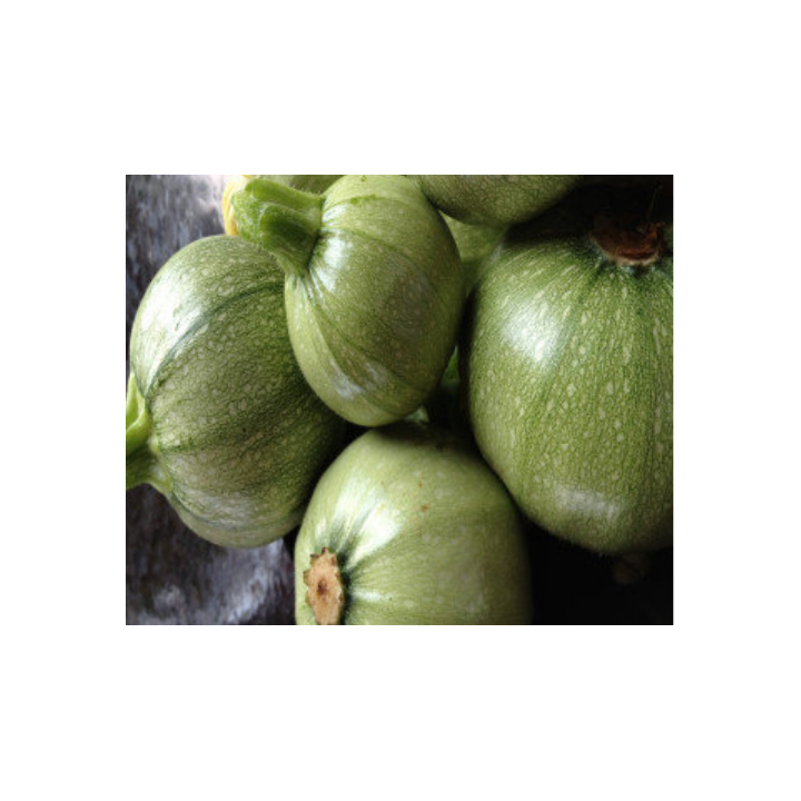 Green Round Zucchini Seeds – High Yield | Agricart