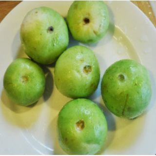 Tinda (Baby Pumpkin/Round Gourd) Seeds To Plant