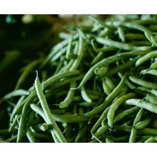 Green Beans Seeds