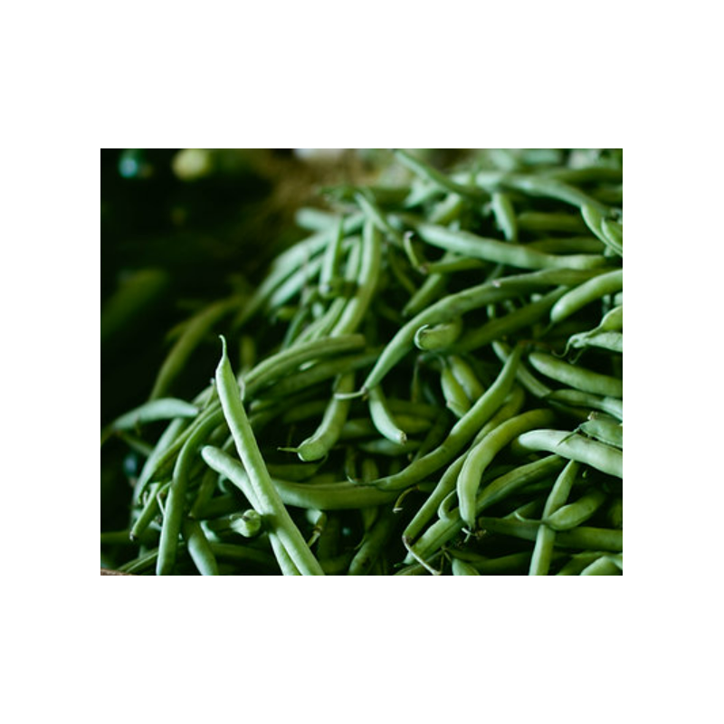 Green Beans Seeds