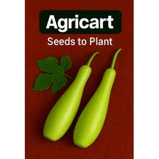 Bottle Gourd Seeds