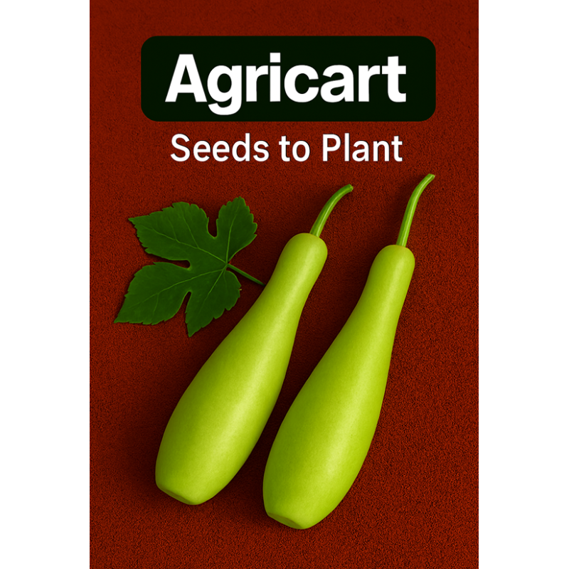 Bottle Gourd Seeds