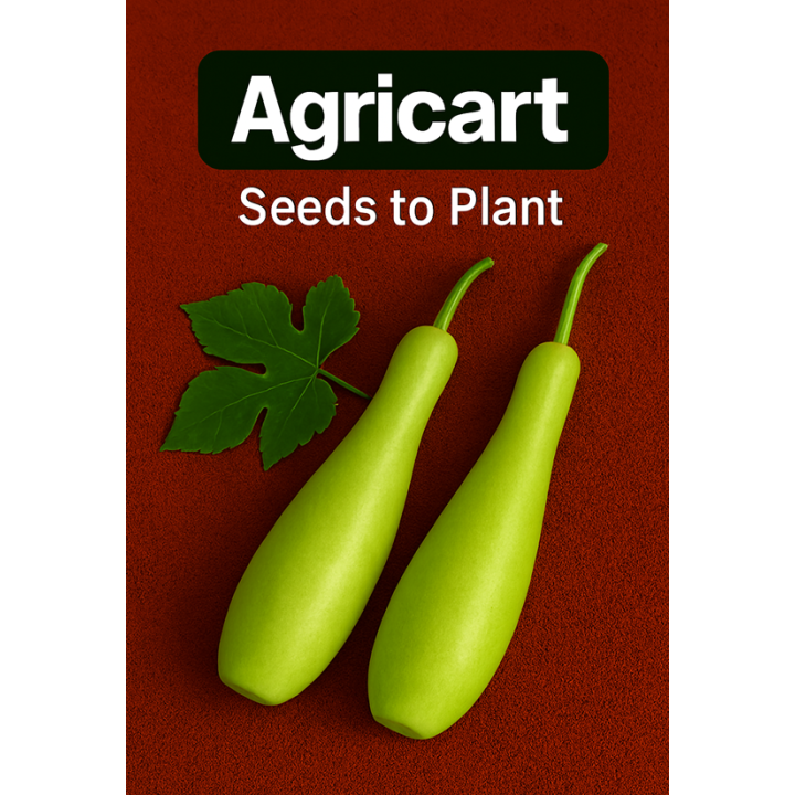 Bottle Gourd Seeds