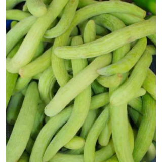 Long Melon Seeds (Tar/Kakri)