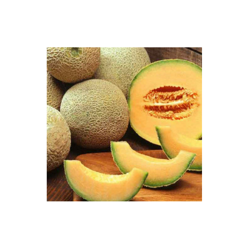 Muskmelon seeds