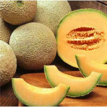 Muskmelon seeds