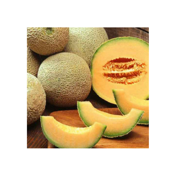 Muskmelon seeds