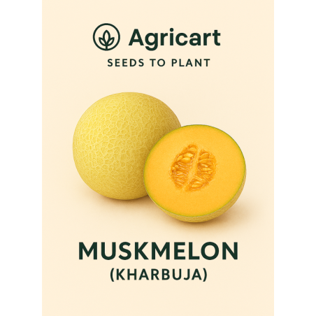 Muskmelon seeds