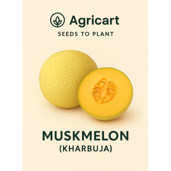 Muskmelon seeds
