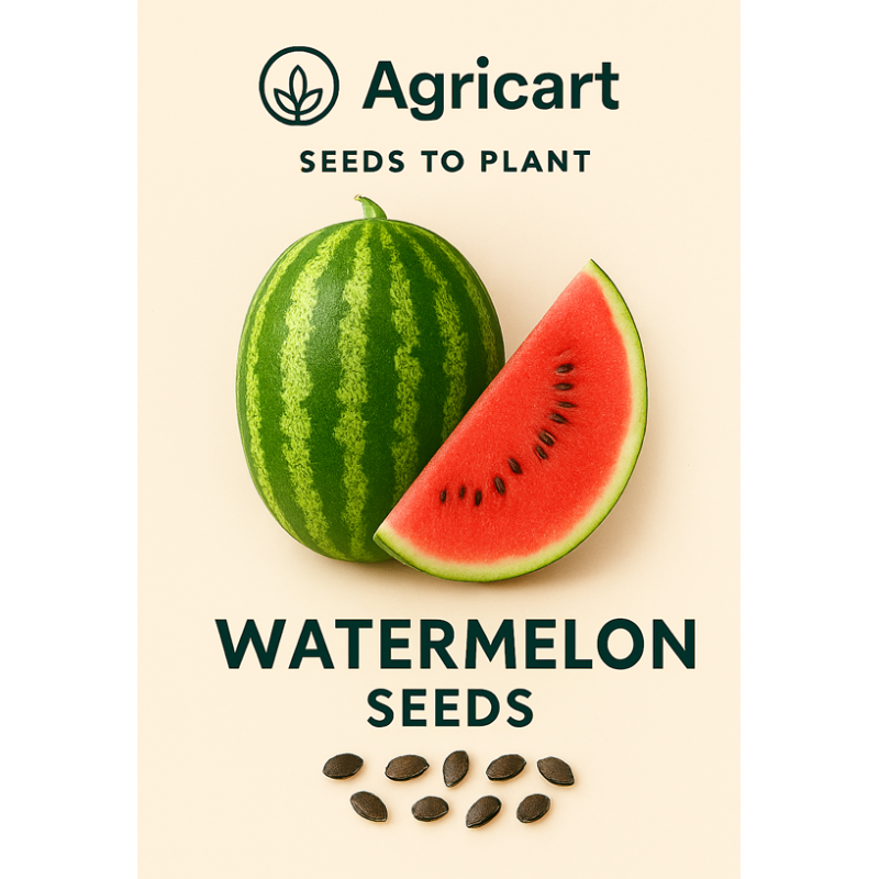 Buy Watermelon Seeds Online