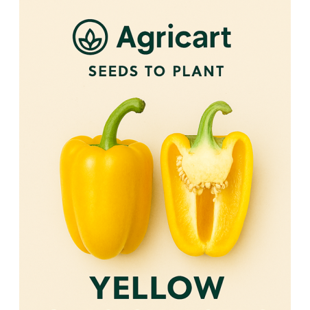Capsicum Yellow Seeds