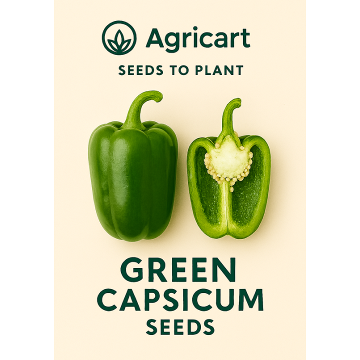 Capsicum Green Seeds