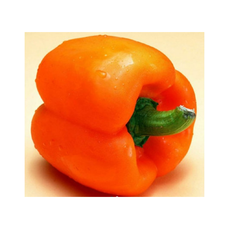 Capsicum Orange Seeds