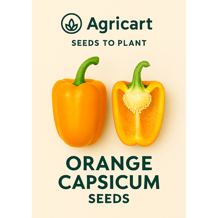 Capsicum Orange Seeds