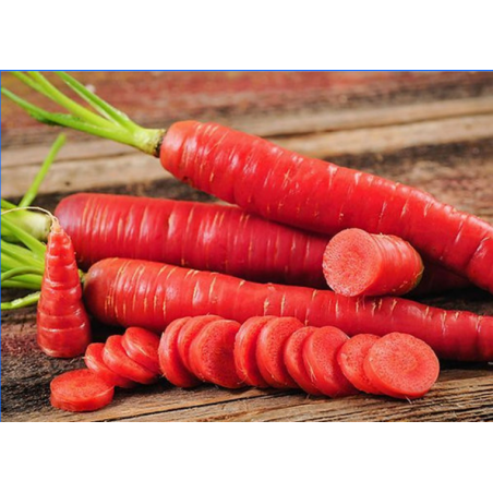 Carrot Red (Gajar) Seeds