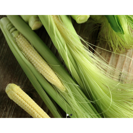 Baby Corn