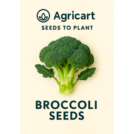 Broccoli Seeds