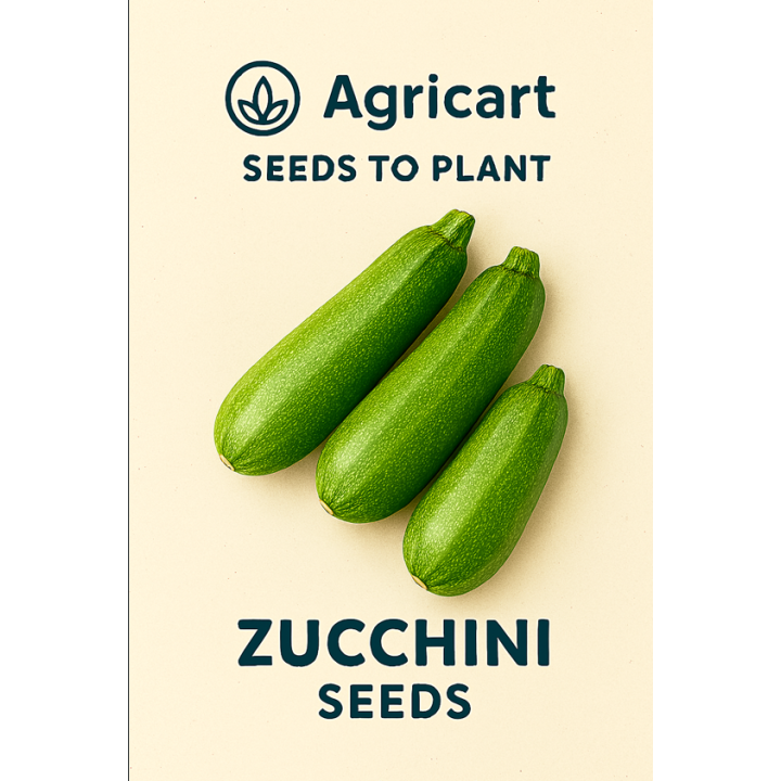 Buy Zucchini Seeds Online – Easy to Grow | Agricart