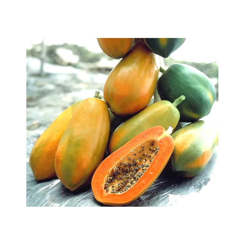 Papaya Seeds