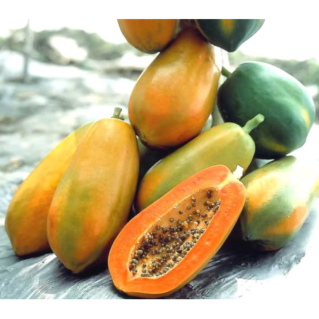 Papaya Seeds
