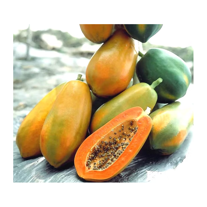 Papaya Seeds