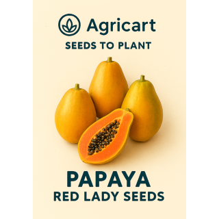 Papaya Seeds