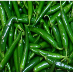 Chilli (Mirch) Seeds 2