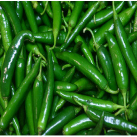Chilli (Mirch) Seeds