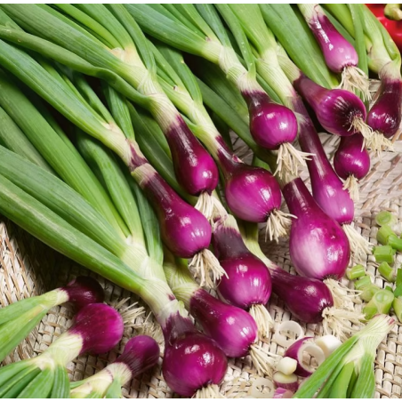 Spring onions