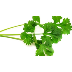 Coriander Seeds 2