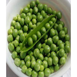 Peas (Matter) seeds 2