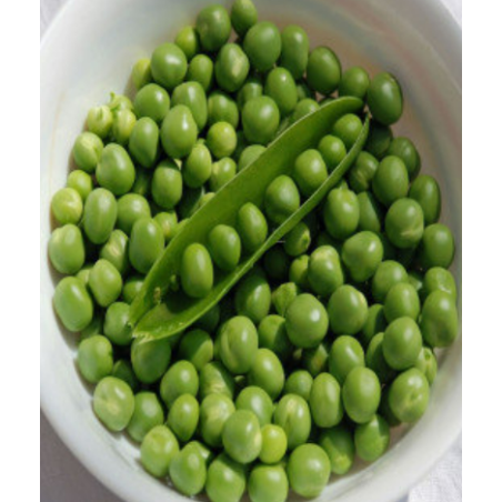 Peas (Matter) seeds