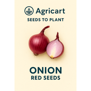 Onions Seeds (Red)