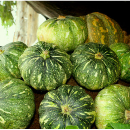 Pumpkin Seeds