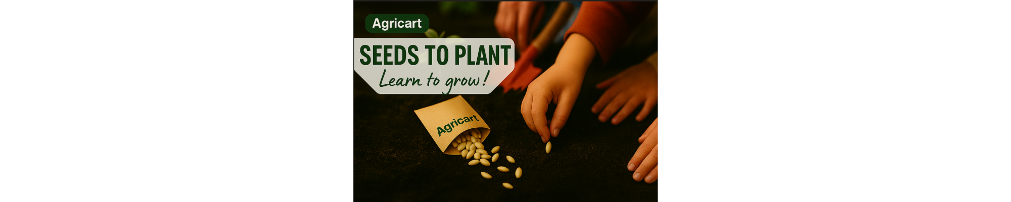 Seeds to Plant for Home Gardening – High‑Quality plant Seeds | Agricart
