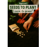 Seeds To Plant